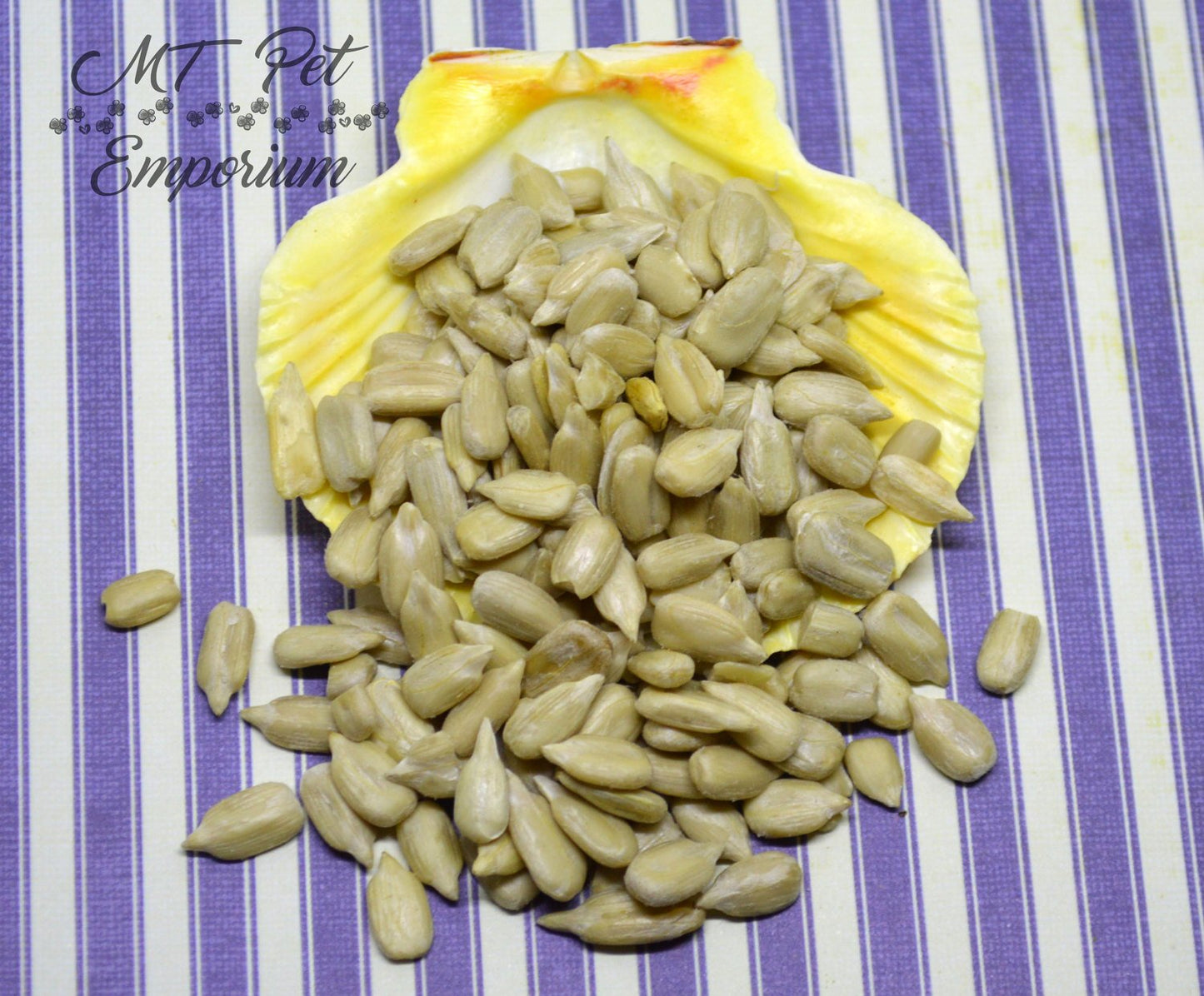 Sunflower Seeds - Hermit Crab Food