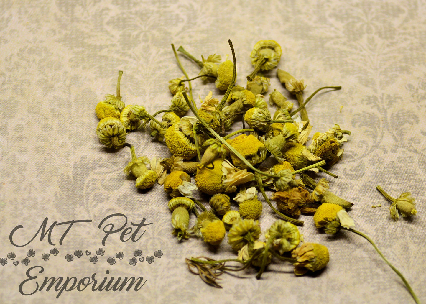 Chamomile Flowers Organic - Hermit Crab Food