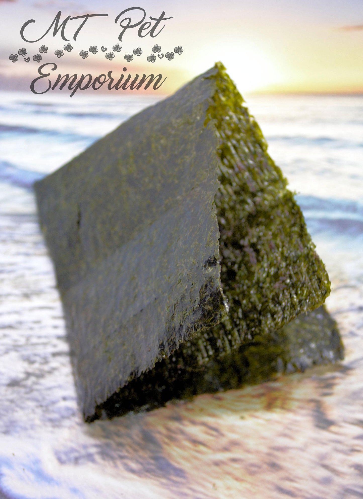 Nori Seaweed - Hermit Crab Food
