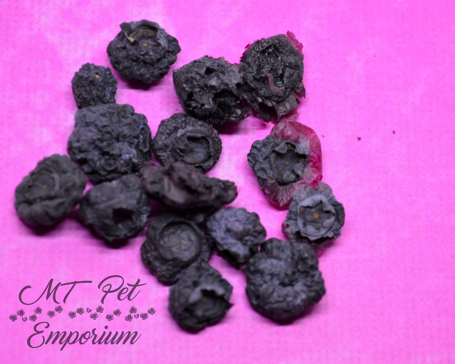 Blueberries - Hermit Crab Food