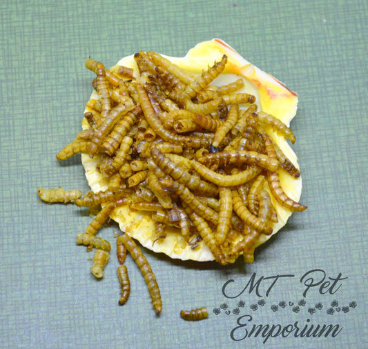 Mealworms - Hermit Crab Food