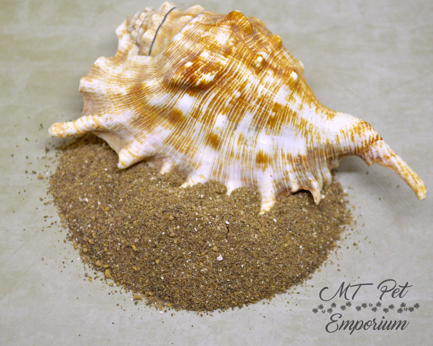 Purple Eggs - Hermit Crab Food