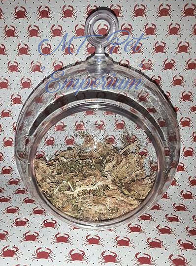 Moss Pit with Moss and Moss Pit Additive- Hermit Crab Food