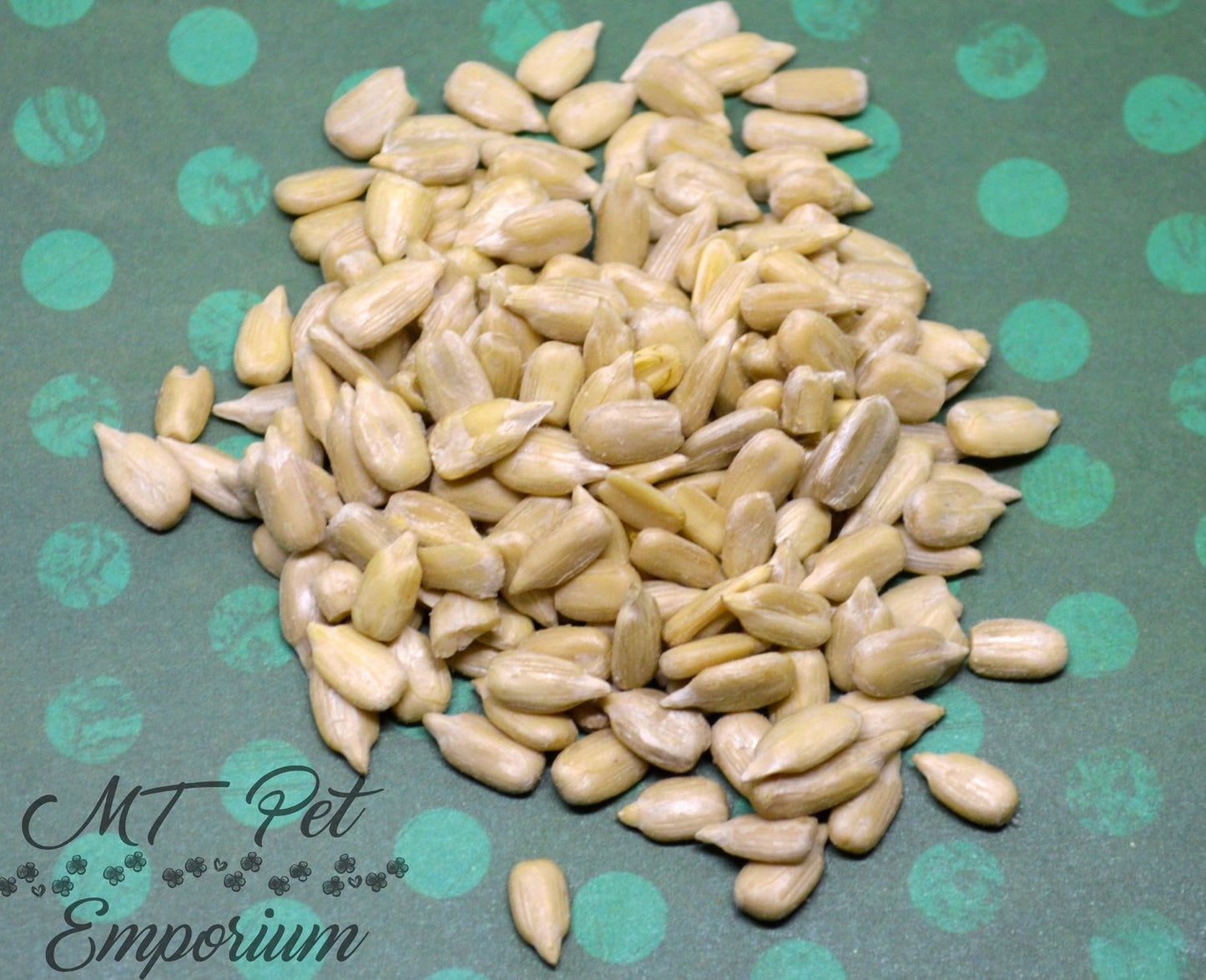 Sunflower Seeds - Hermit Crab Food