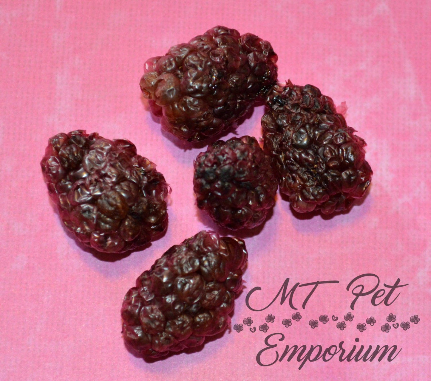 Blackberries - Hermit Crab Food