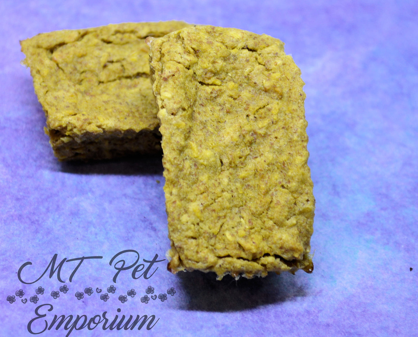 Pumpkin Bars - Hermit Crab Food