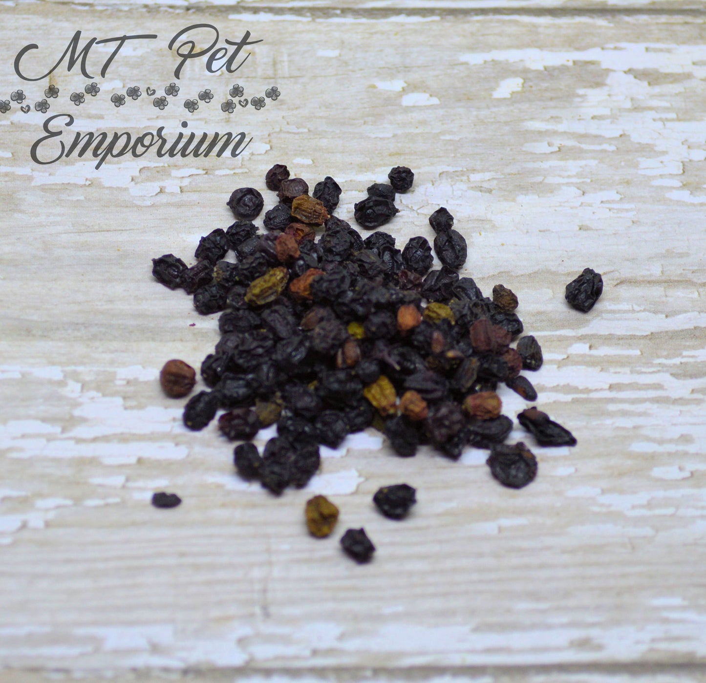 Elderberries ORGANIC - Hermit Crab Food