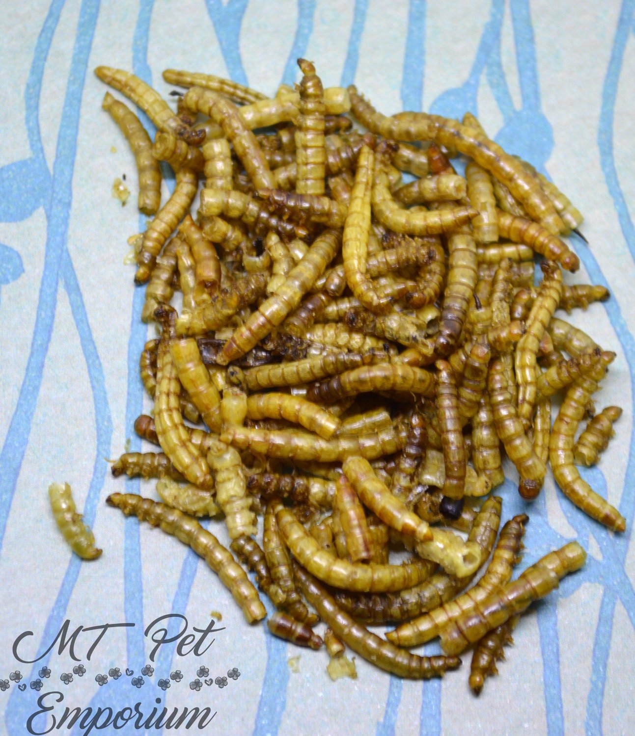 Mealworms - Hermit Crab Food