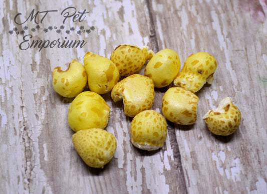 Puffed Corn ORGANIC - Hermit Crab Food