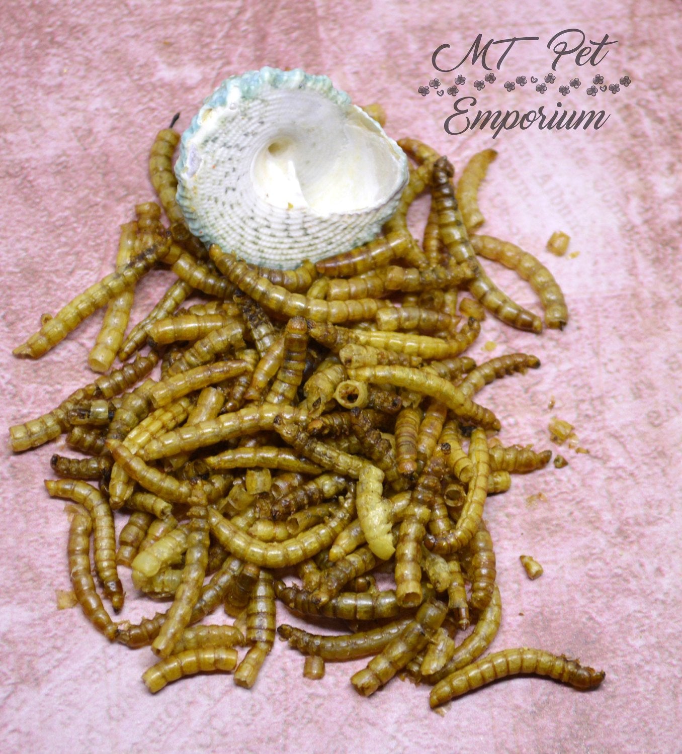 Mealworms - Hermit Crab Food