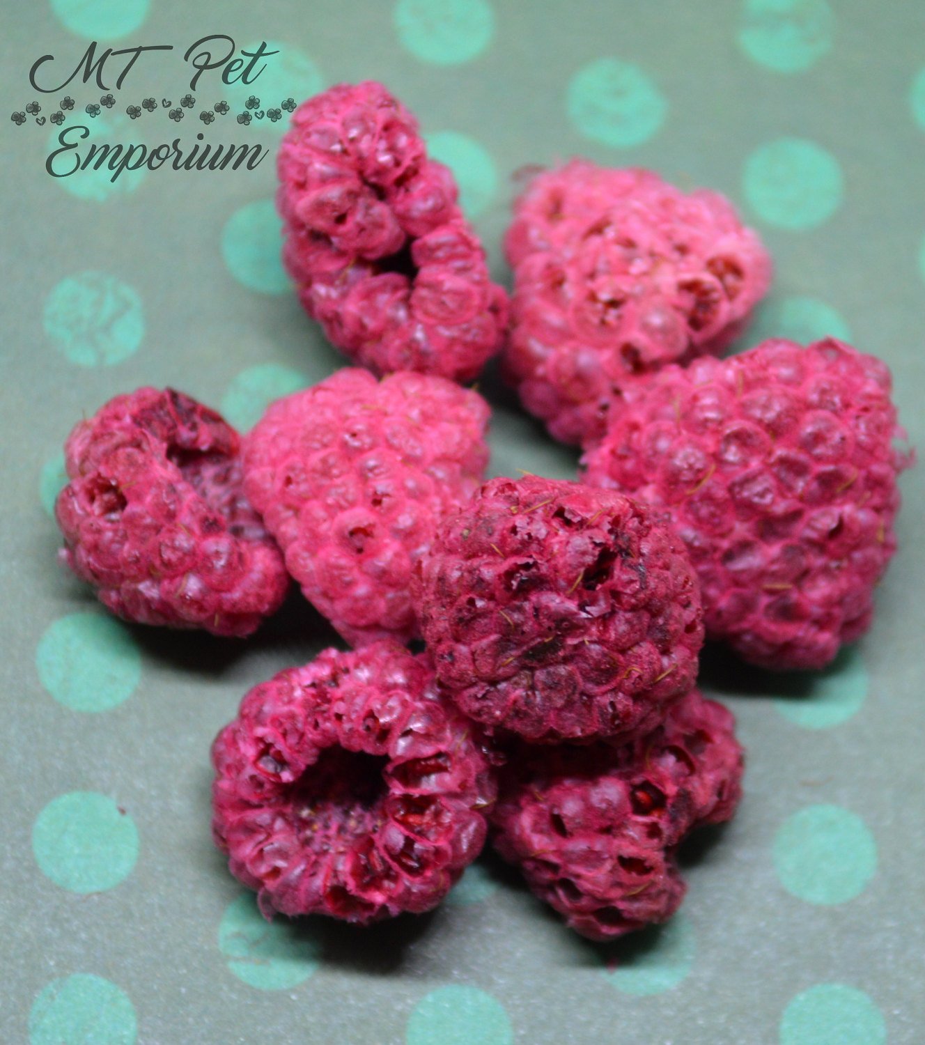 Raspberries - Hermit Crab Food