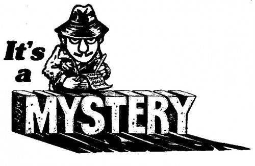 Mystery Food COOKIES - Hermit Crab Food