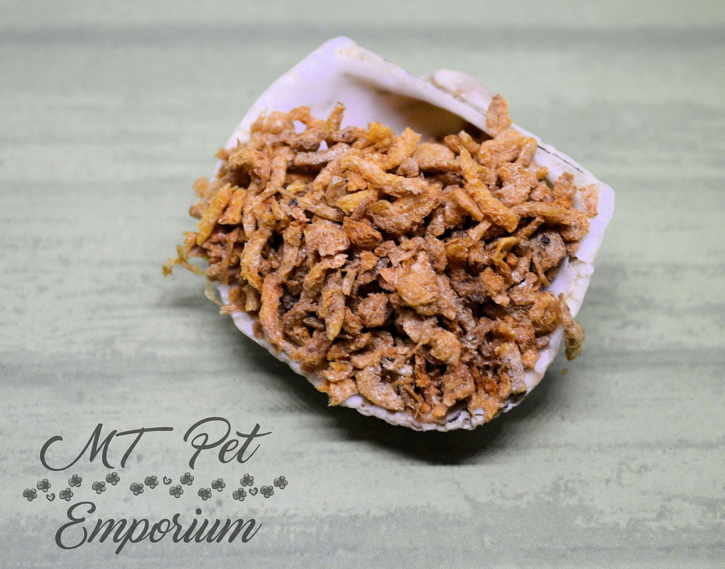 Plankton - Hermit Crab Food