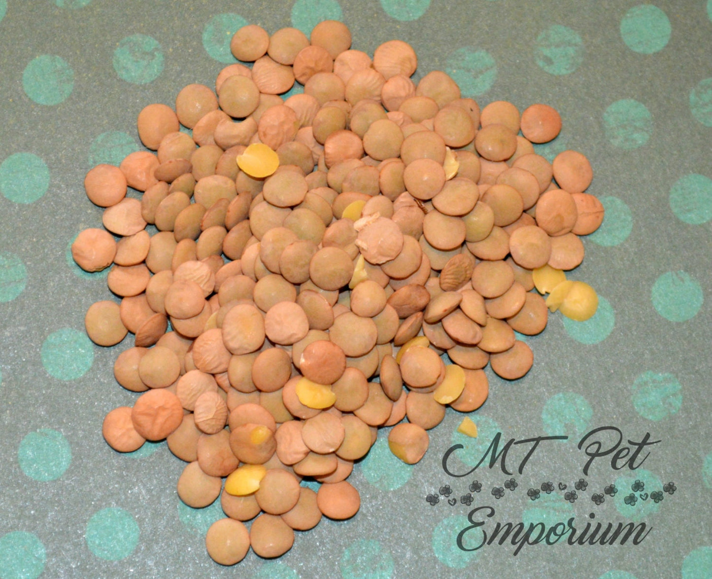 Green Lentils - Hermit Crab Food
