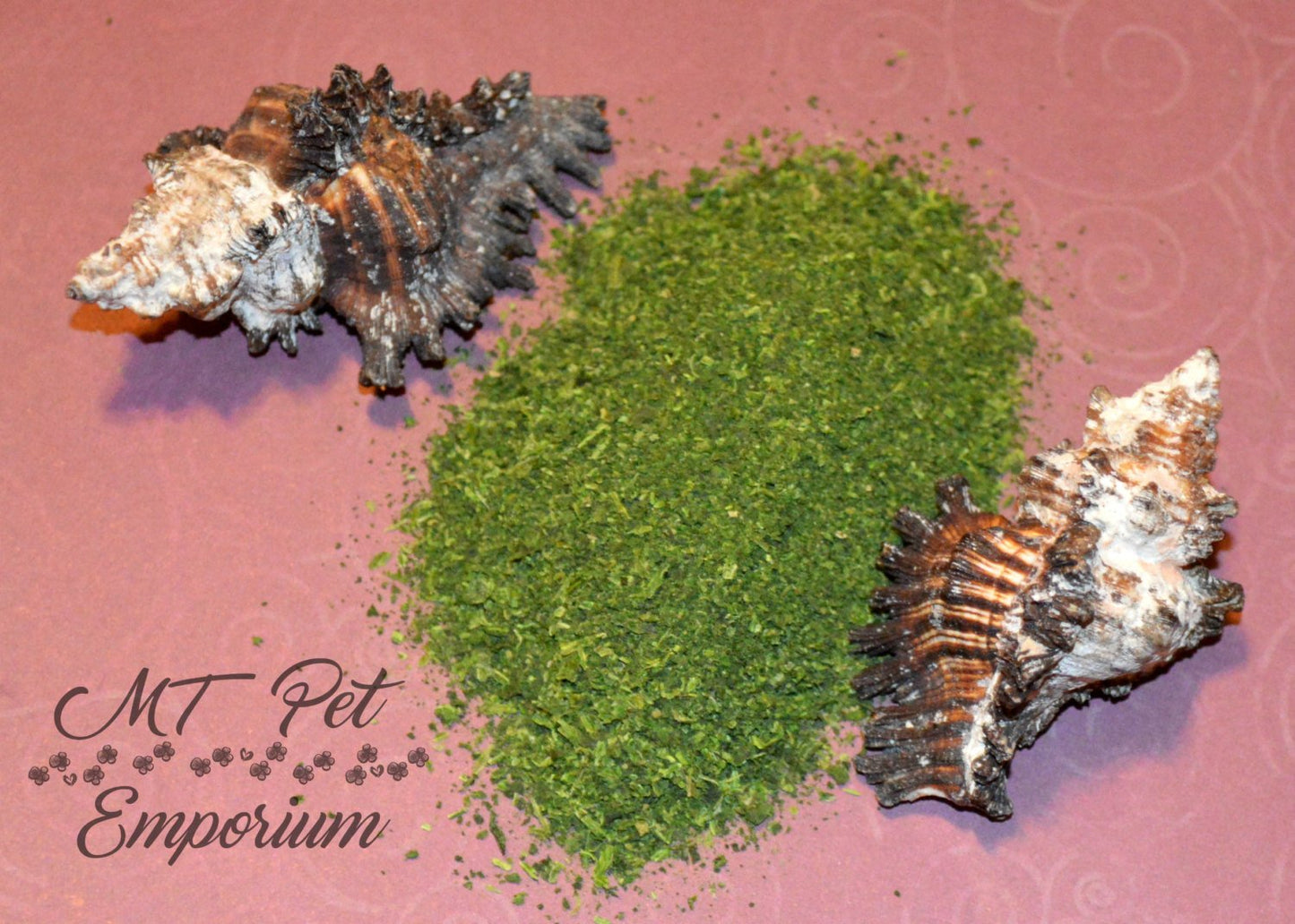 Spinach - Hermit Crab Food