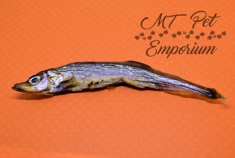 Capelin Whole Fish - Hermit Crab Food