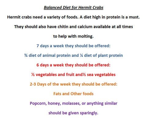 Ground Flaxseed - Hermit Crab Food