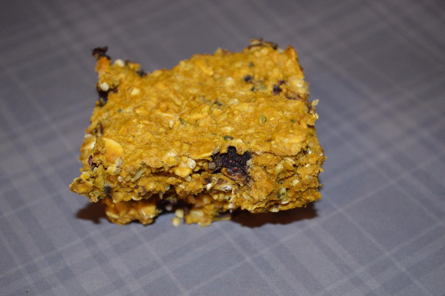 Blueberry Pumpkin Bars - Hermit Crab Food