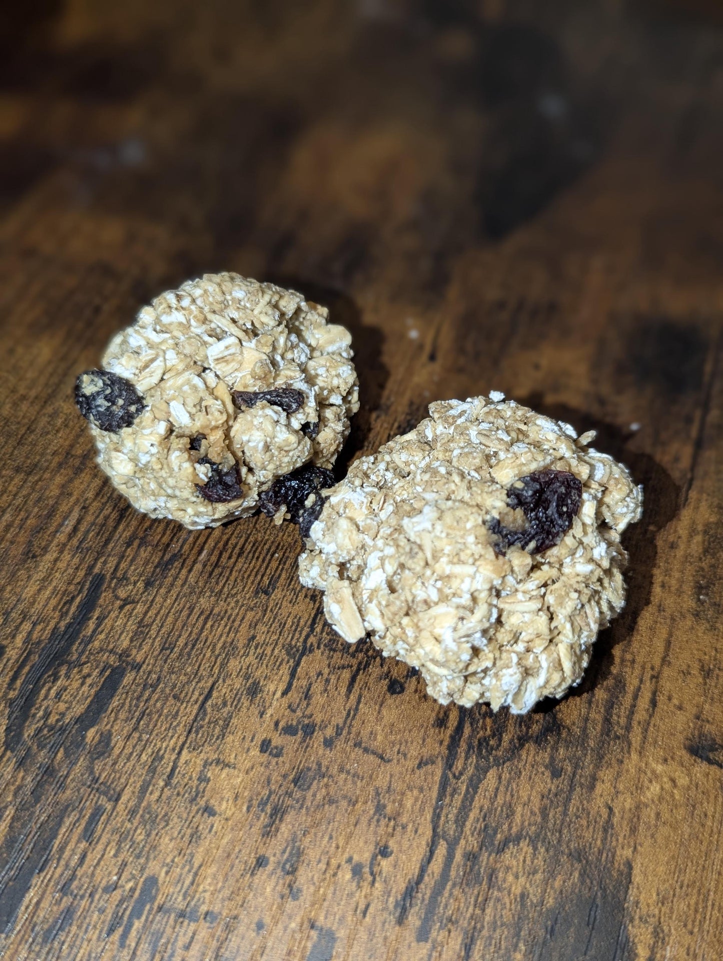 Oatmeal Raisin Cookie - Hermit Crab Food