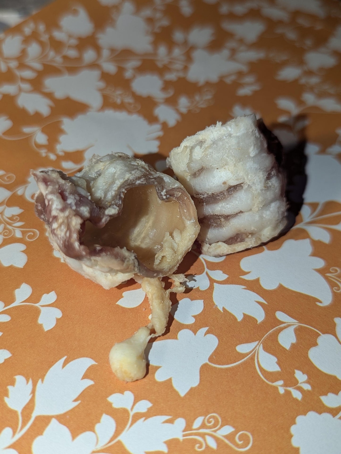 Beef Trachea- Hermit Crab Food