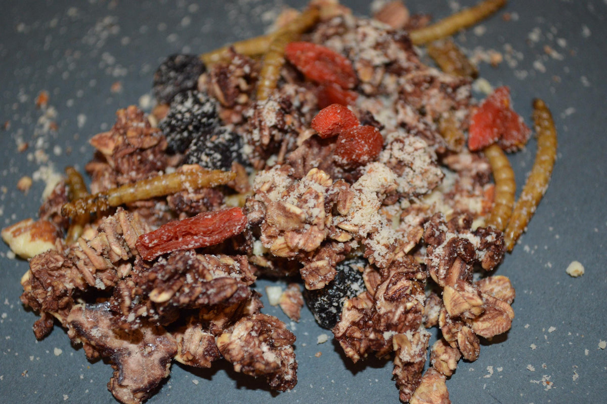 Spooky Trail Mix - Hermit Crab Food