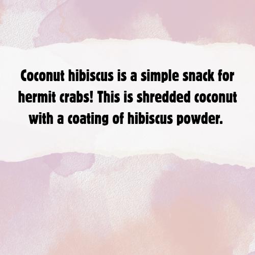 Coconut Hibiscus - Hermit Crab Food