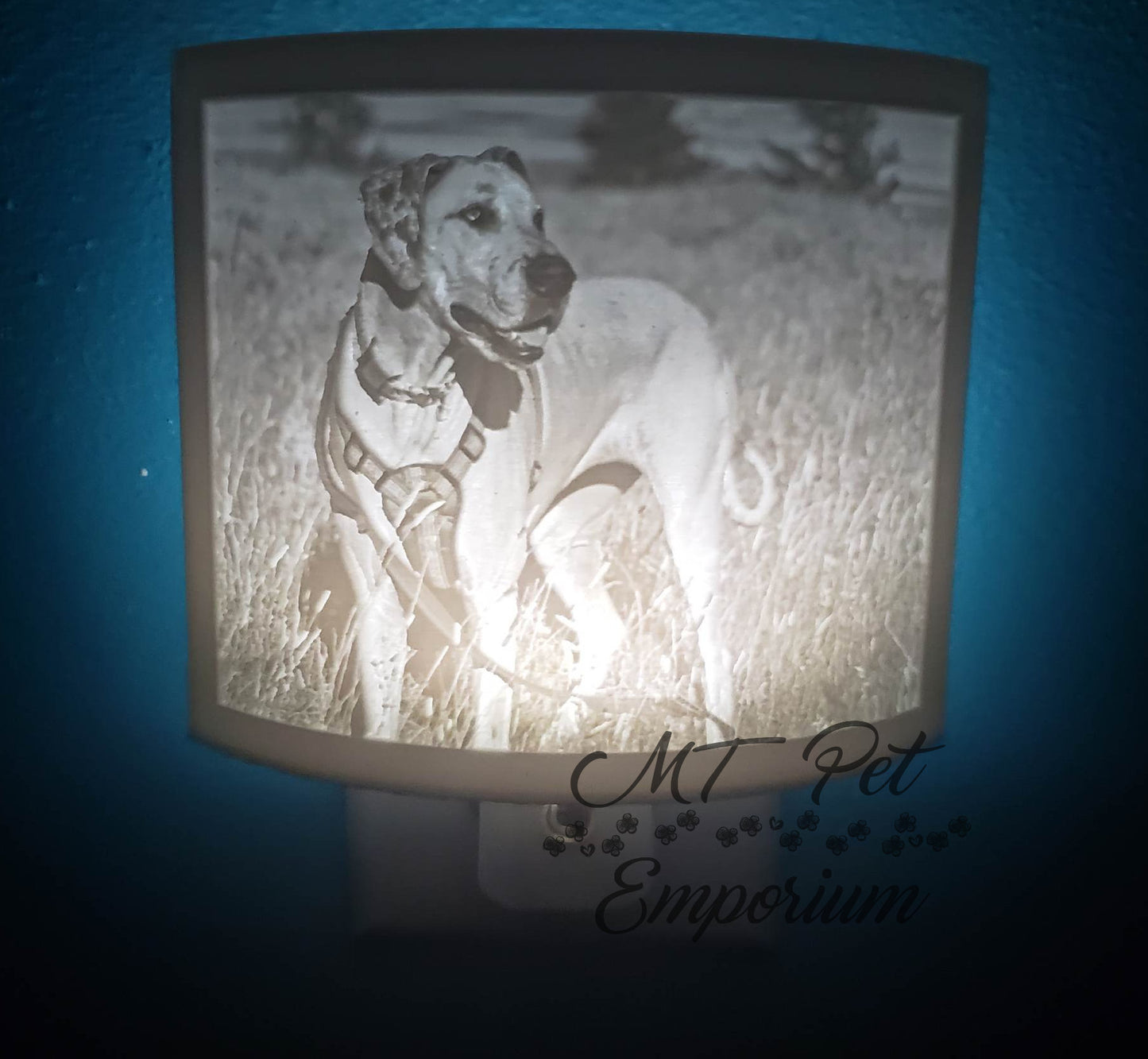 CUSTOM Night Light 3D printed Lithophane