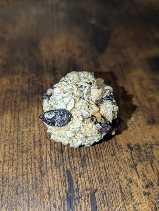 Oatmeal Raisin Cookie - Hermit Crab Food