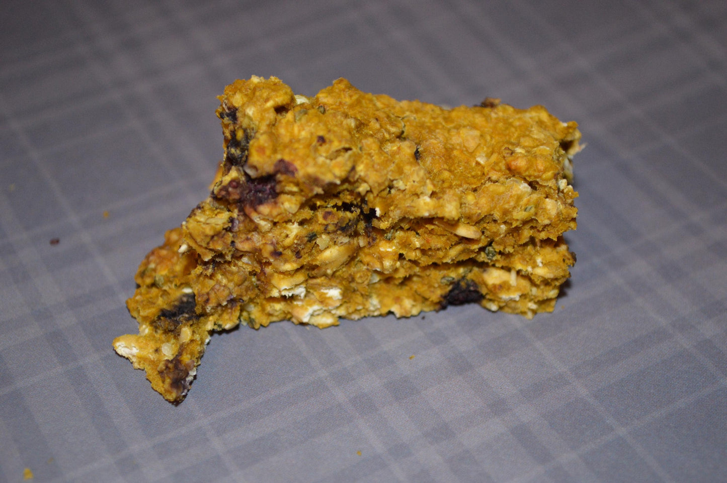 Blueberry Pumpkin Bars - Hermit Crab Food
