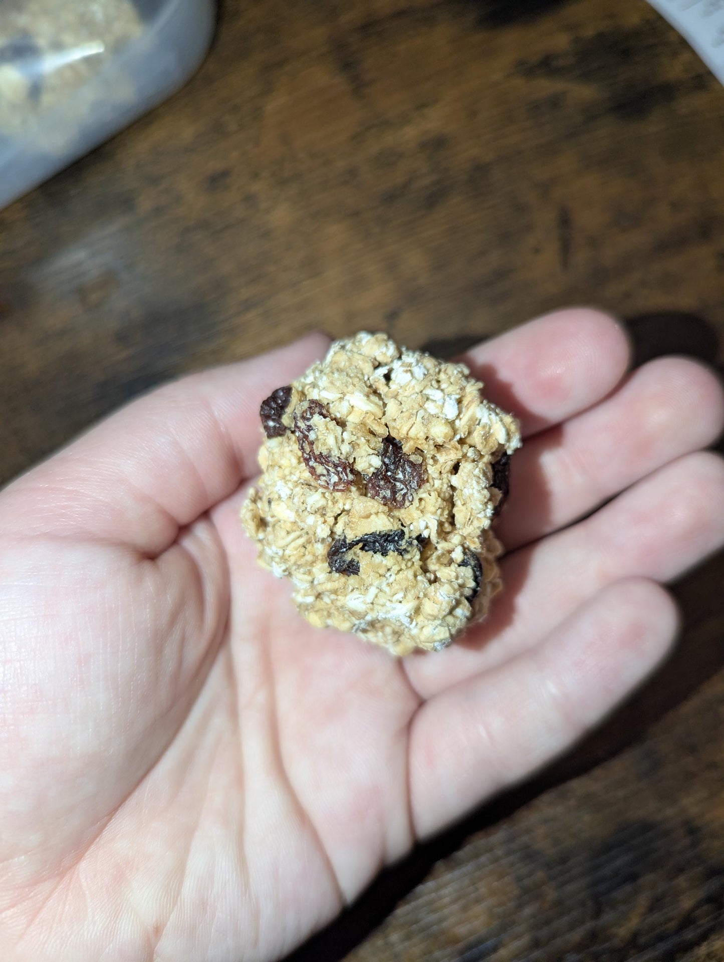 Oatmeal Raisin Cookie - Hermit Crab Food