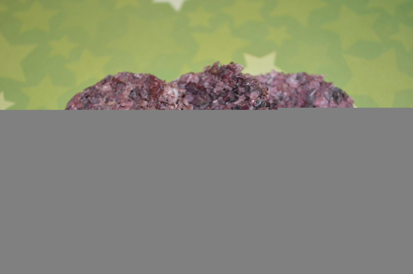 Cod and Cranberry Chips - Hermit Crab Food