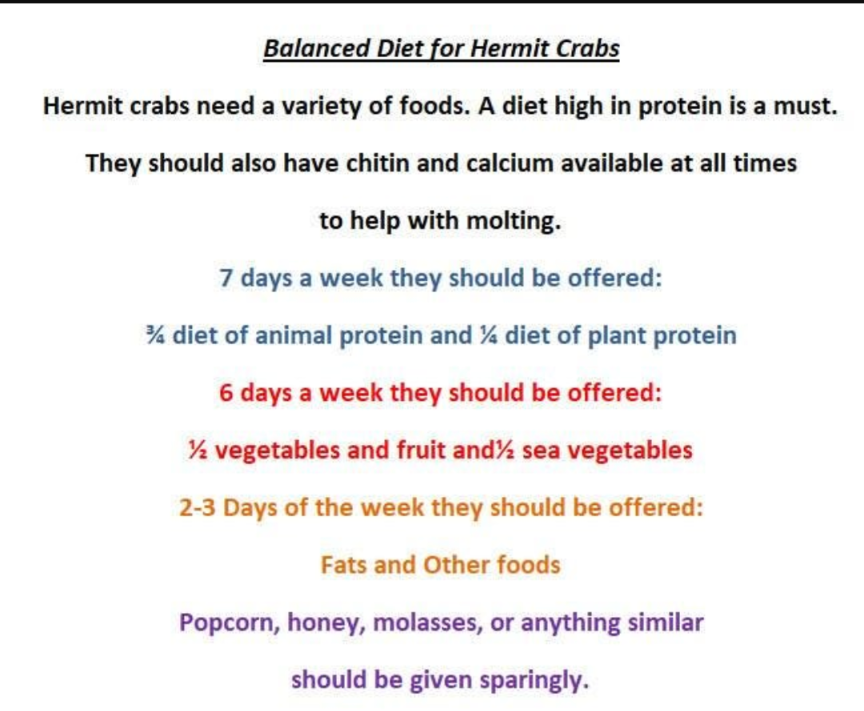 Duck Bites - Hermit Crab Food