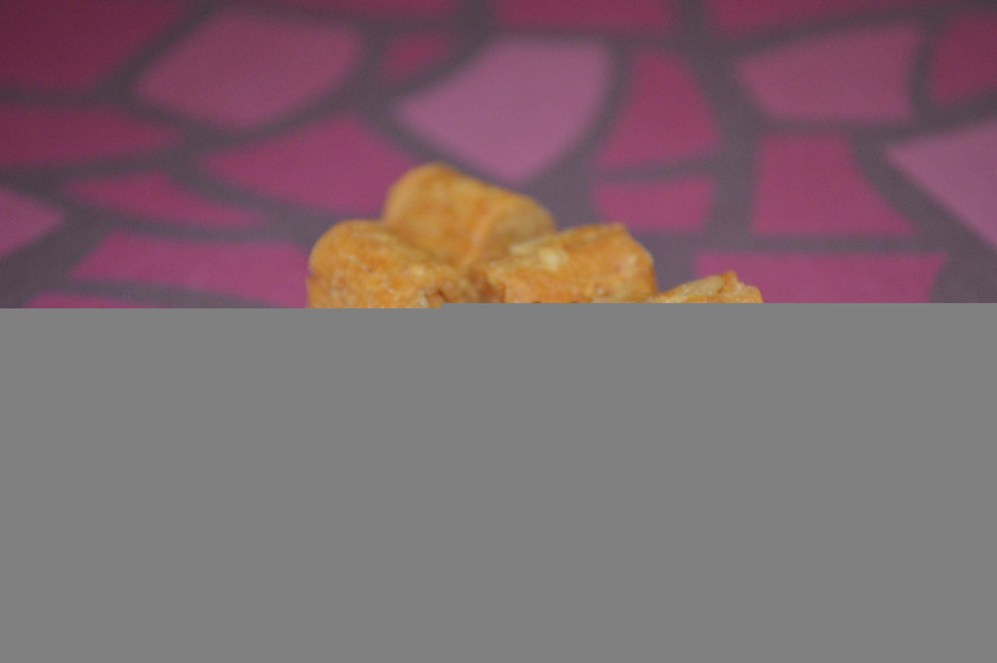 Salmon Bites - Hermit Crab Food