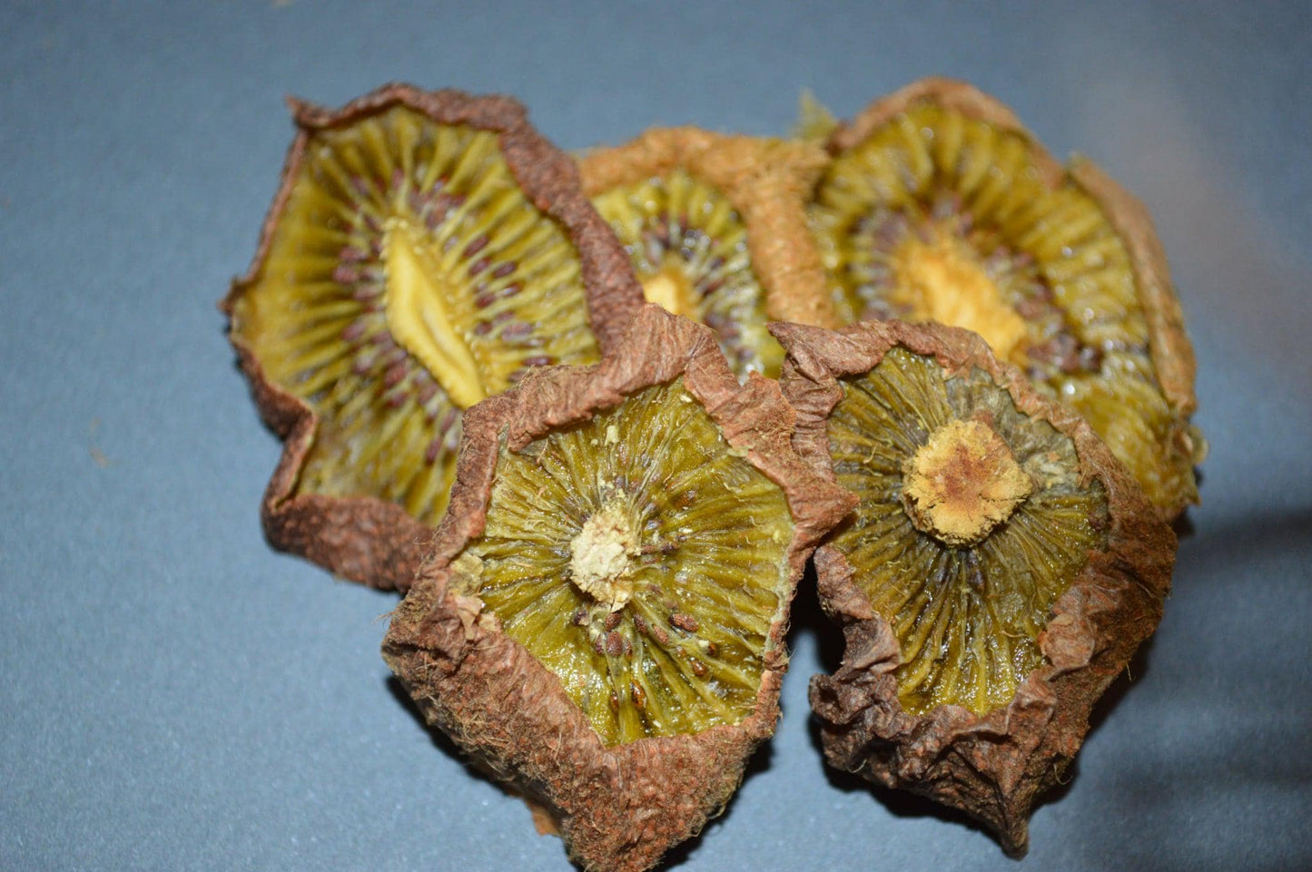 Kiwi Slices- Hermit Crab Food