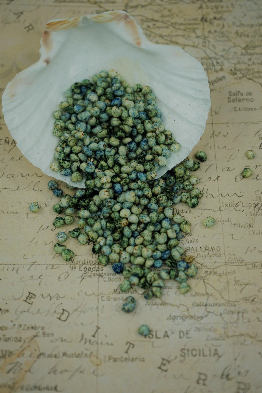 Ocean Puffs - Hermit Crab Treat