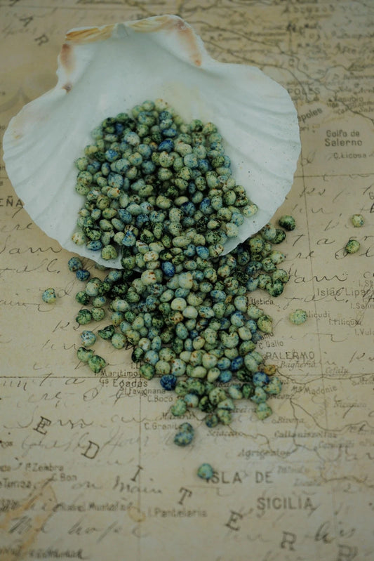 Ocean Puffs - Hermit Crab Treat