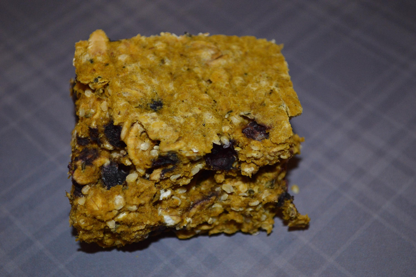 Blueberry Pumpkin Bars - Hermit Crab Food