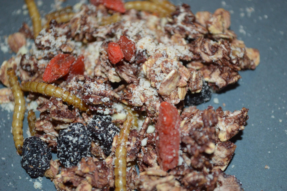 Spooky Trail Mix - Hermit Crab Food