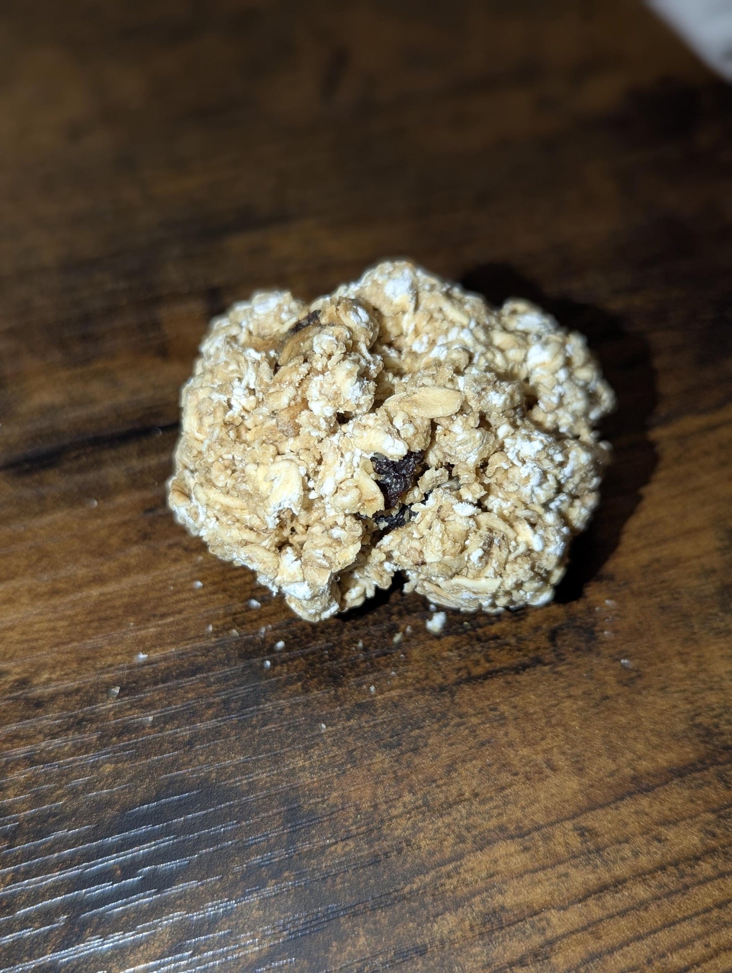 Oatmeal Raisin Cookie - Hermit Crab Food