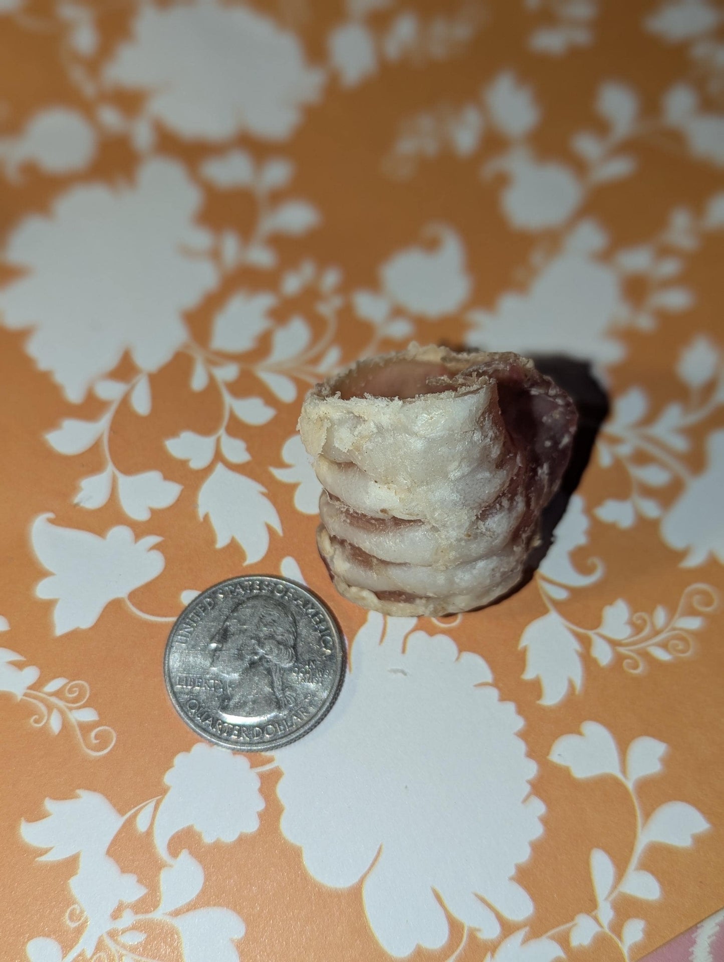 Beef Trachea- Hermit Crab Food