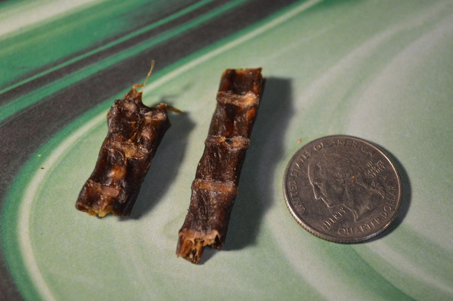 Duck Gizzard - Hermit Crab Food