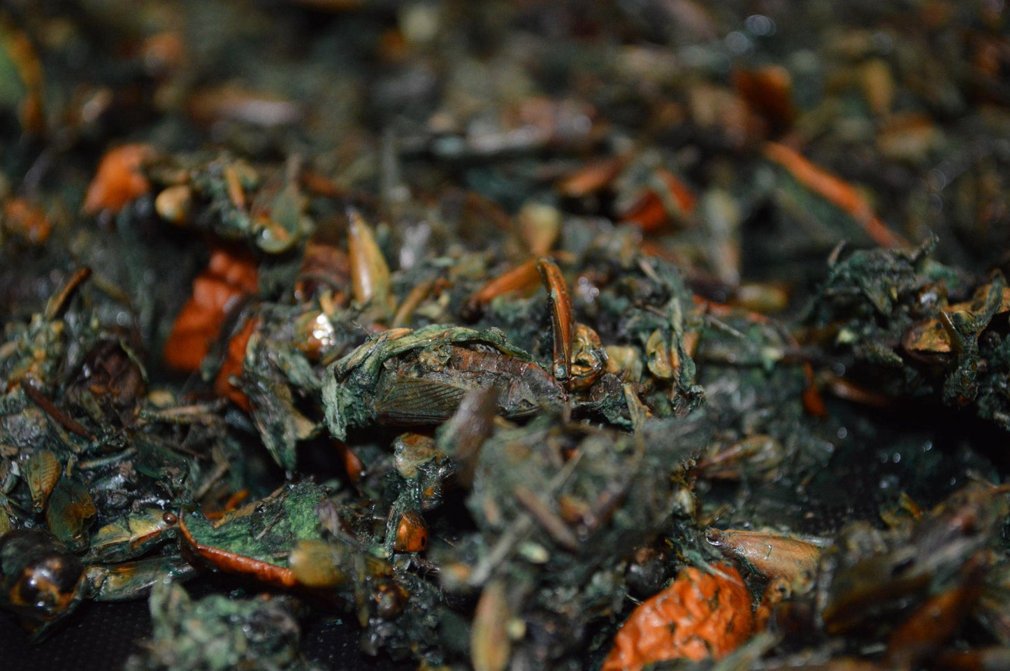 Stinky Green Mix - Hermit Crab Food