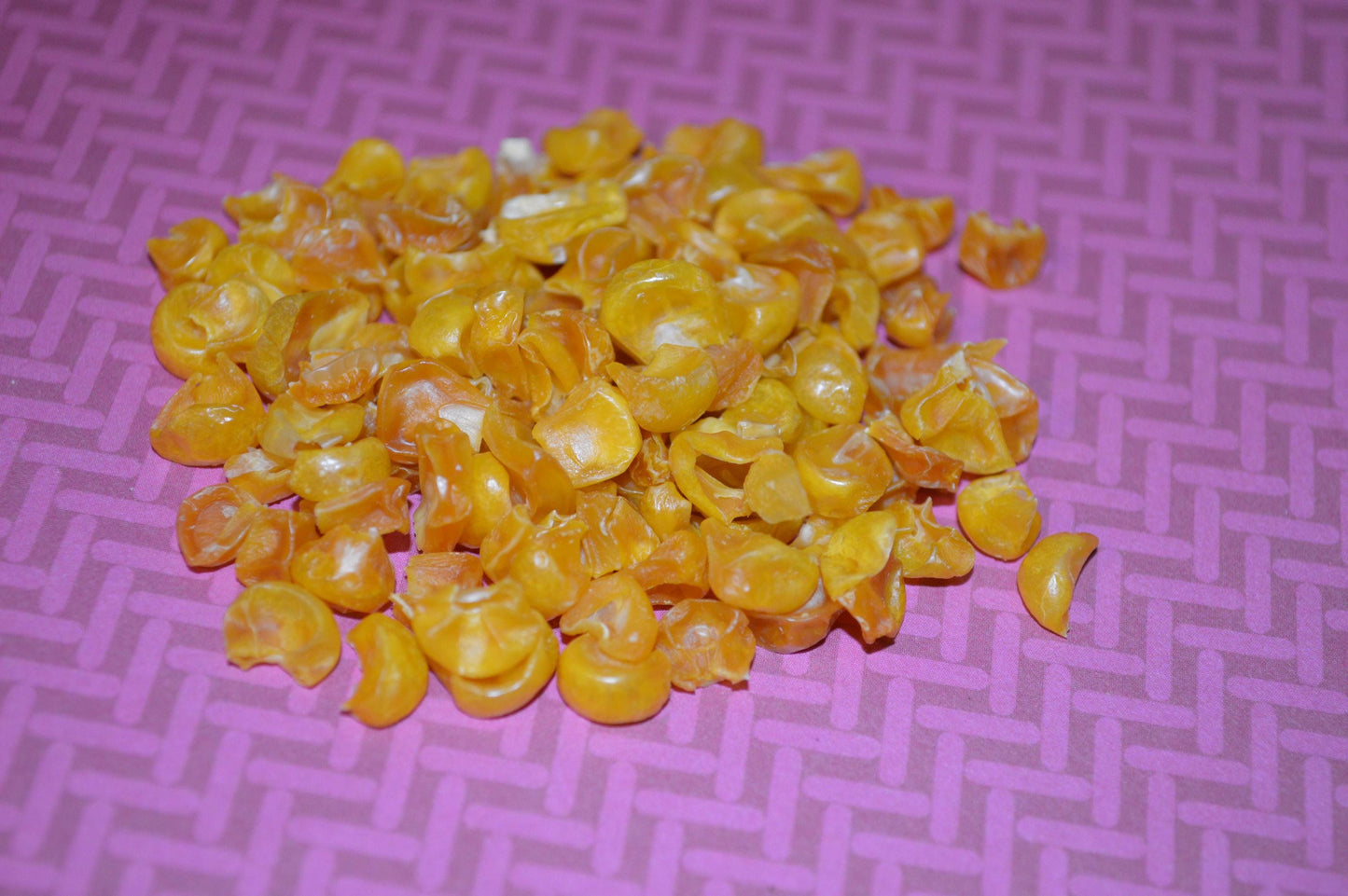 Corn - Hermit Crab Food
