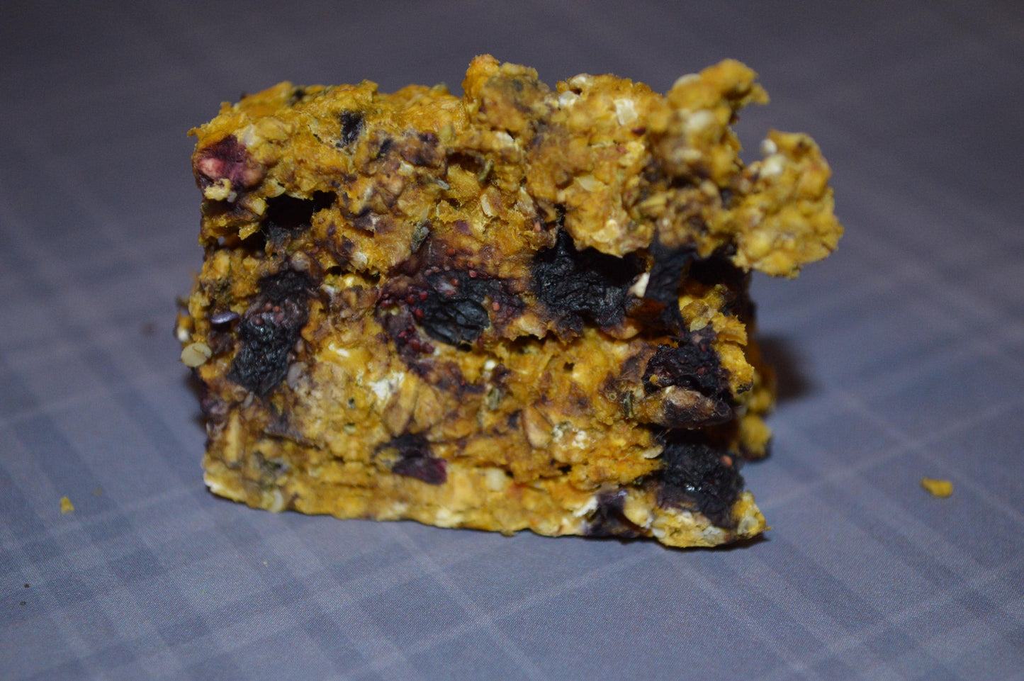 Blueberry Pumpkin Bars - Hermit Crab Food
