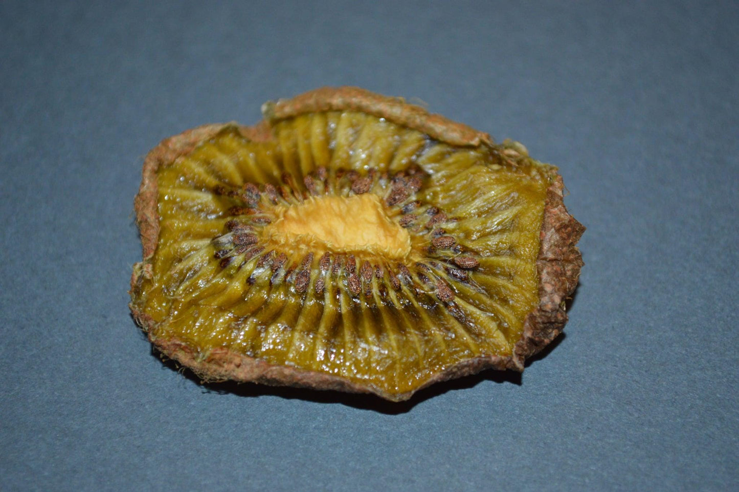 Kiwi Slices- Hermit Crab Food