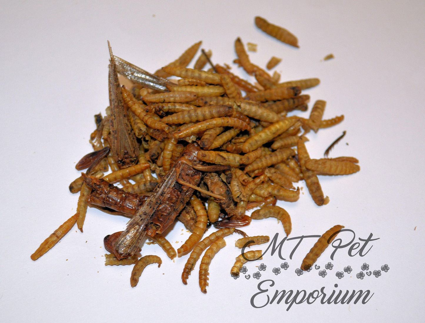 Insect Trail Mix - Hermit Crab Food, Fish Food, Chicken Snack