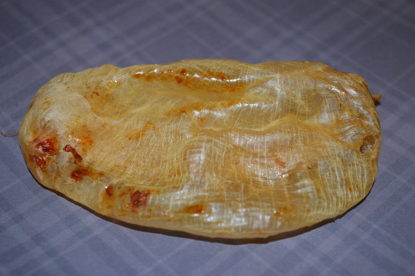 Carp Swim Bladder - Hermit Crab Food