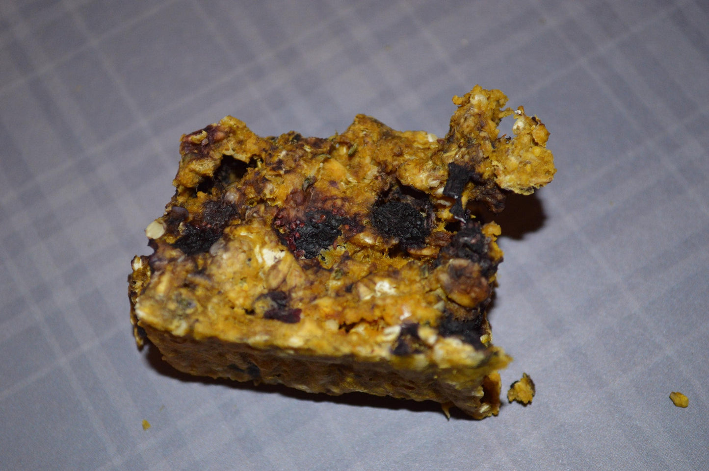 Blueberry Pumpkin Bars - Hermit Crab Food
