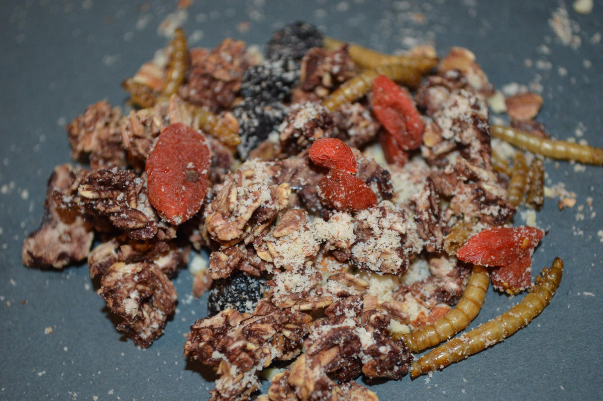 Spooky Trail Mix - Hermit Crab Food