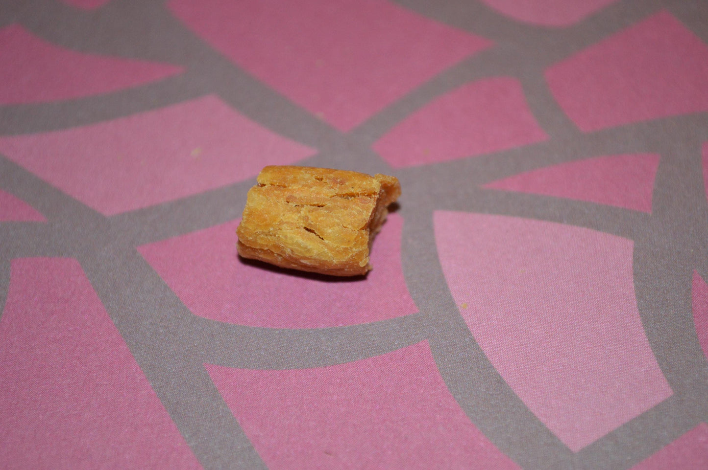 Salmon Bites - Hermit Crab Food